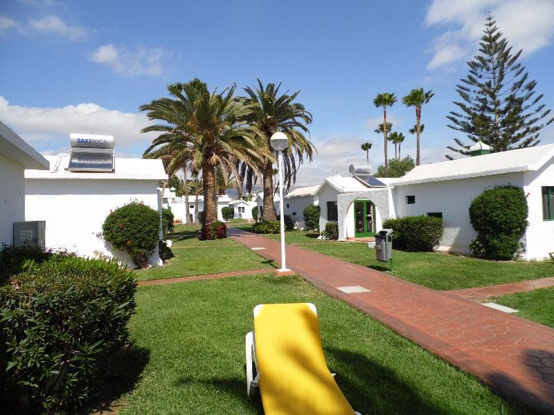 Canary Garden Club photo 3