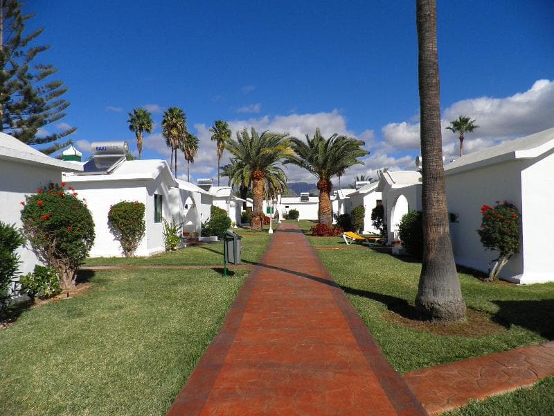 Canary Garden Club photo 5