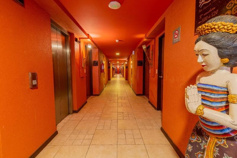 Ritz Lagoa da Anta Hotel & Spa photo 5