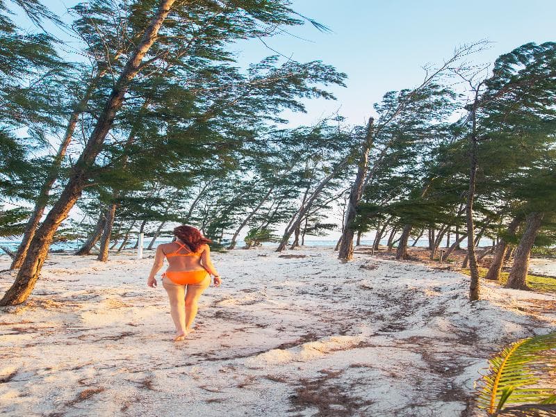 Fantasy Island Dive Resort photo 2