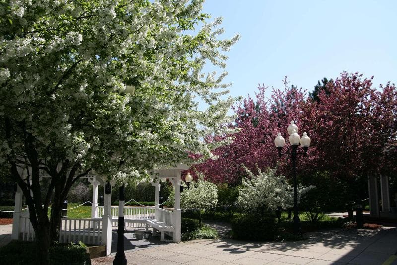 Hampton Inn Burlington, VT photo 4