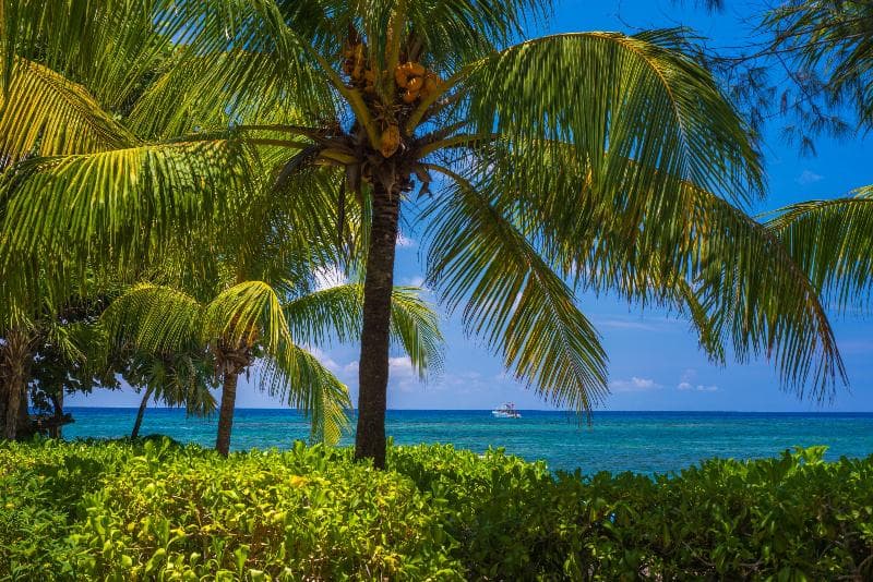 Las Rocas Resort & Dive Center photo 3