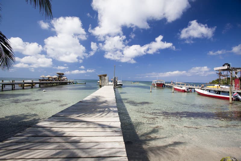 Splash Inn Dive Resort photo 3