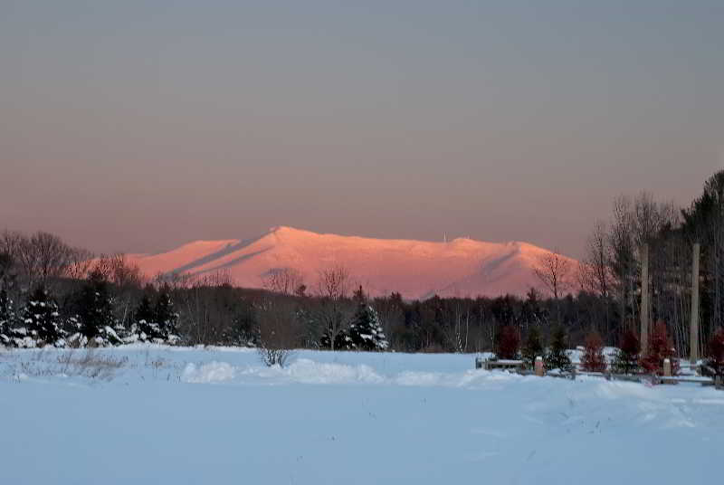 The Essex Resort & Spa photo 4