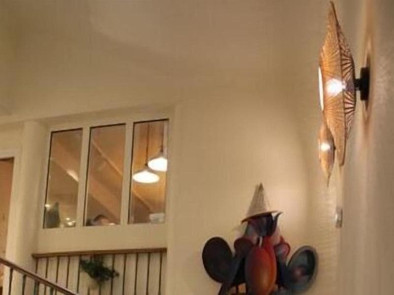 Life ex Alize photo 4