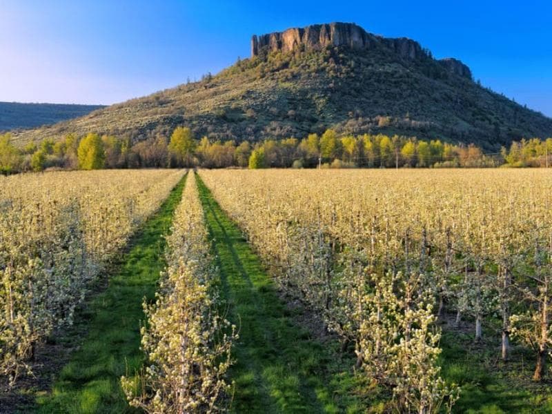 Candlewood Suites Medford photo 3