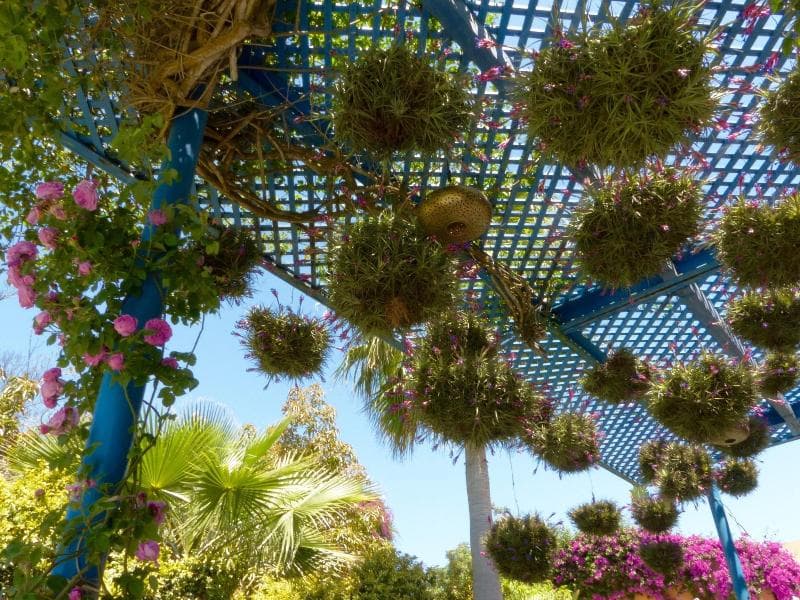 Villa Mandarine photo 2