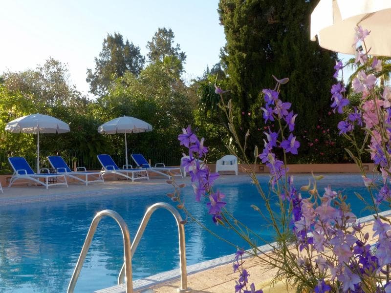 Villa Mandarine photo 5