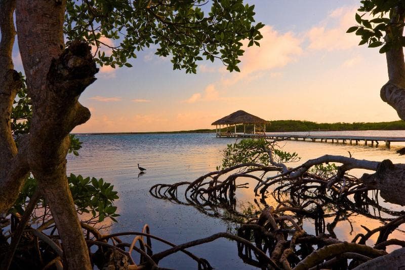 Barefoot Cay Resort photo 3