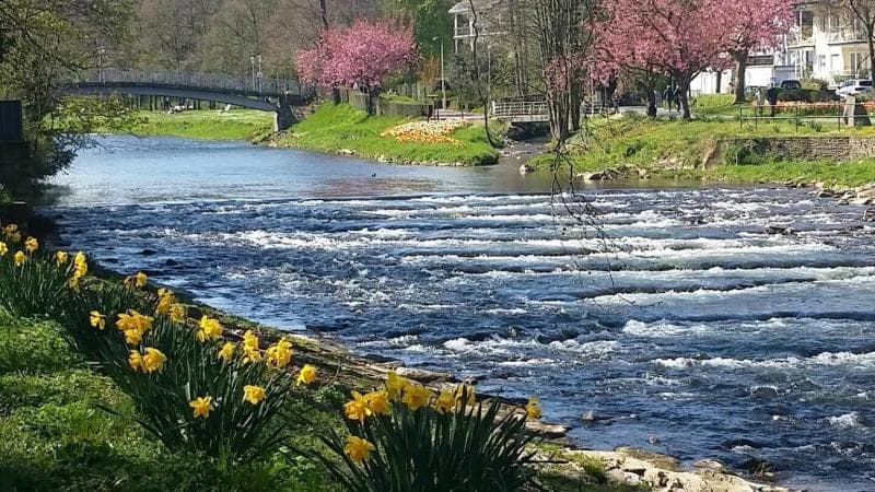 Hotel Ahrbella photo 4