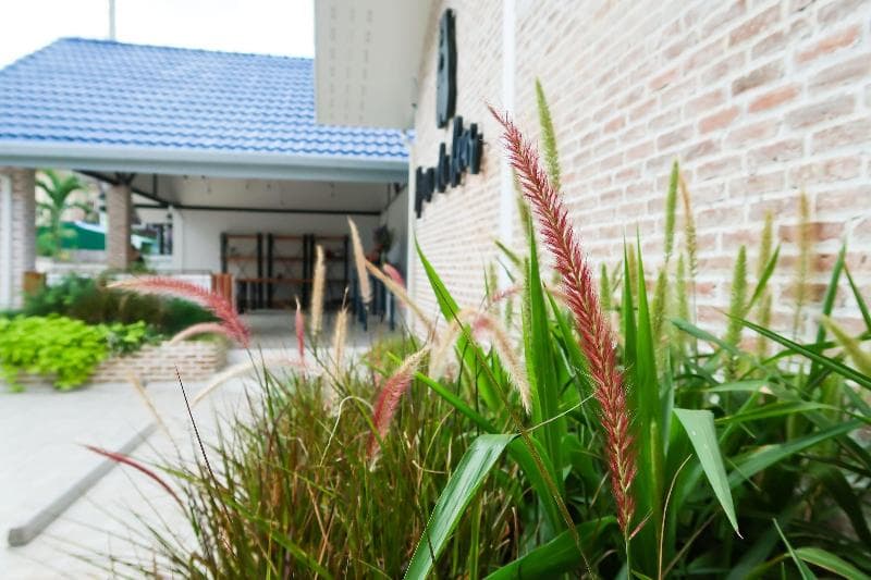 Home De Bear photo 3