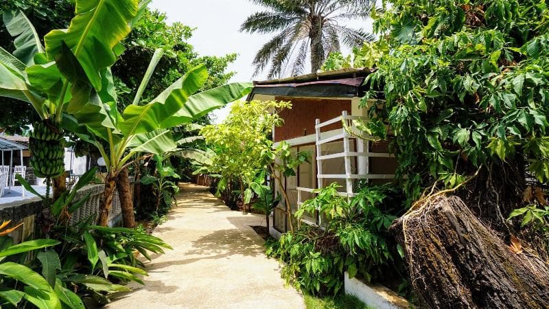 The Family Kingdom Resort photo 3