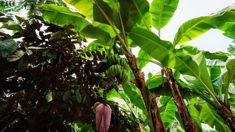 The Family Kingdom Resort photo 4