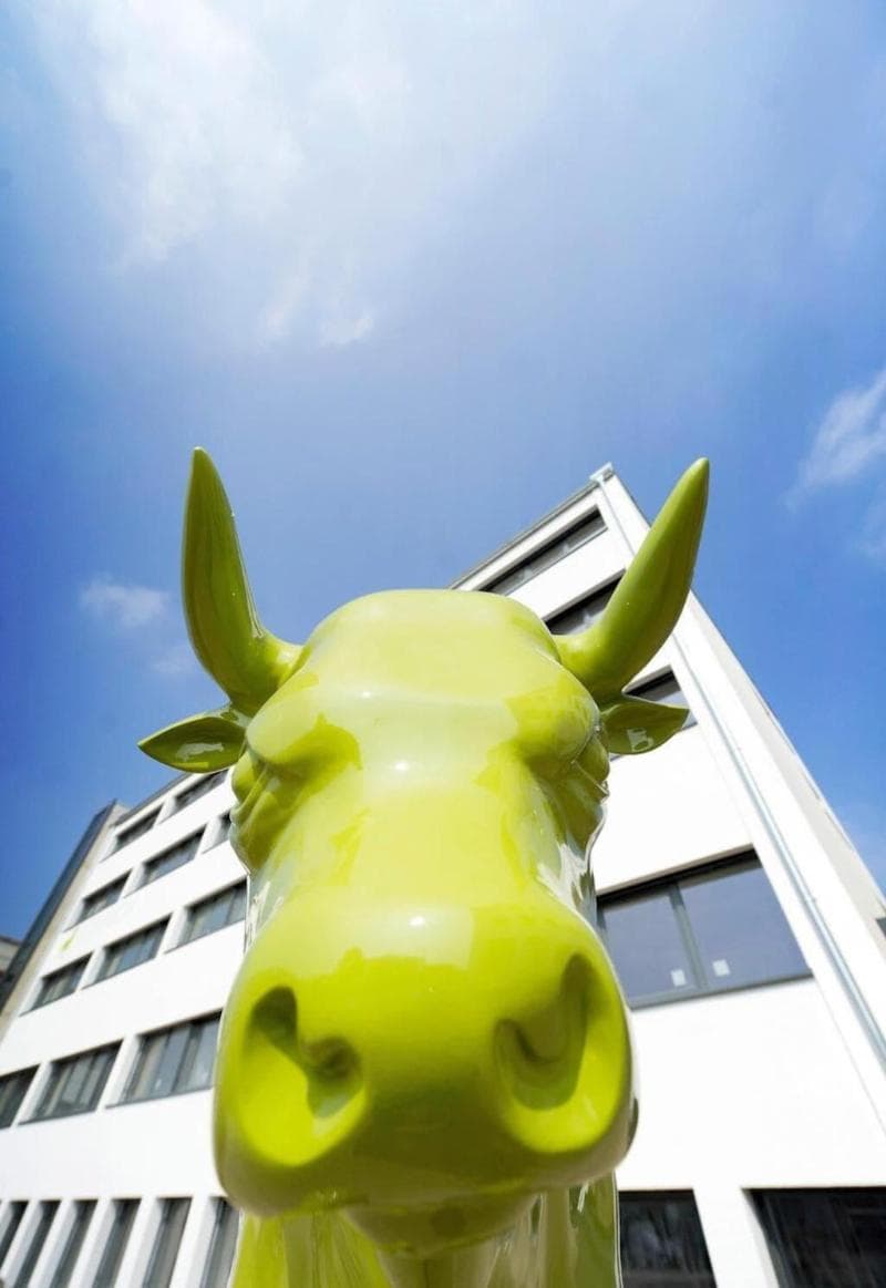 BONNOX Boardinghouse & Hotel photo 5